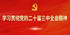 学习贯彻二十届三中全会精神